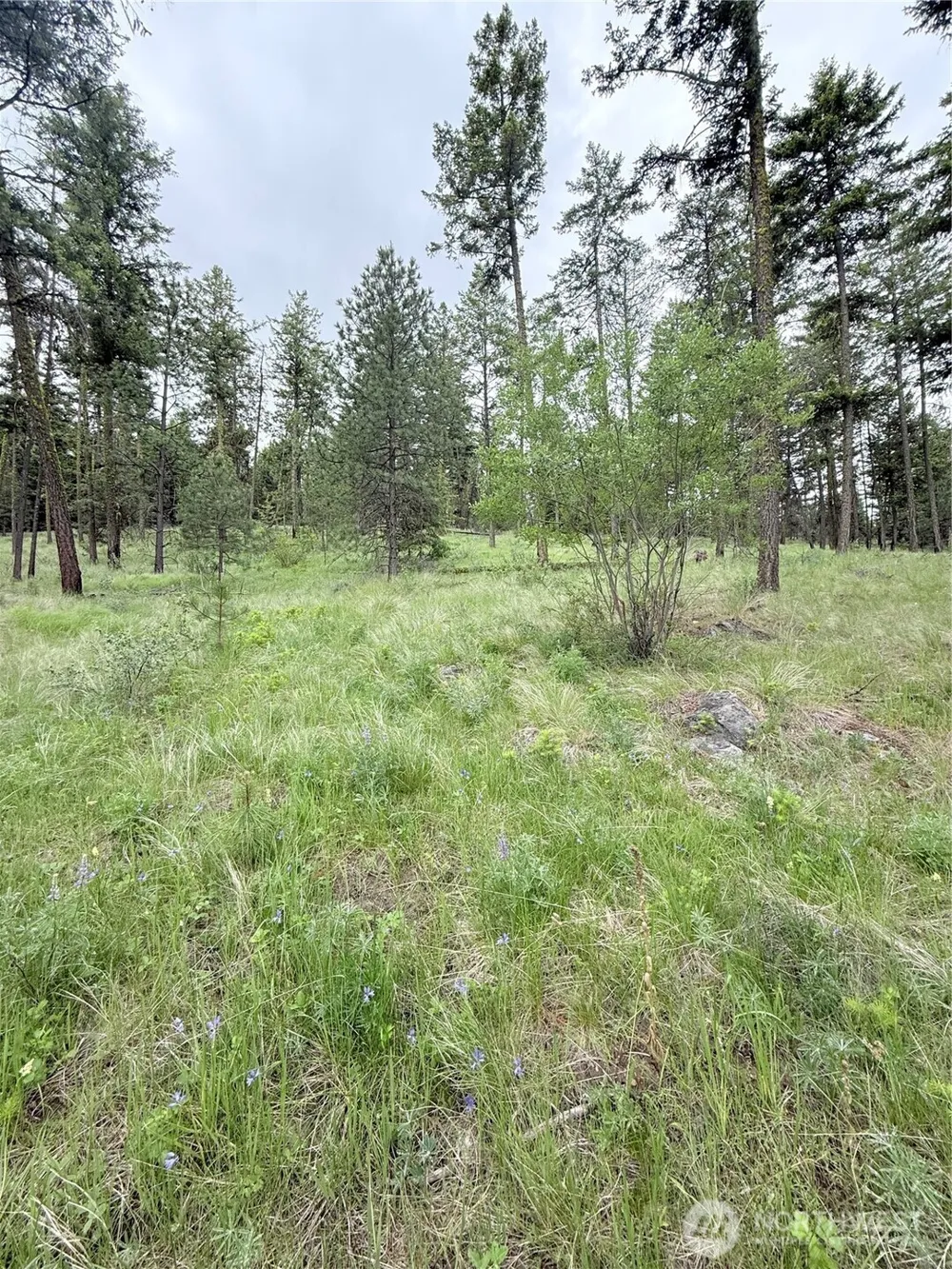 0 TBD Broken Spoke Road Tonasket, WA 98855