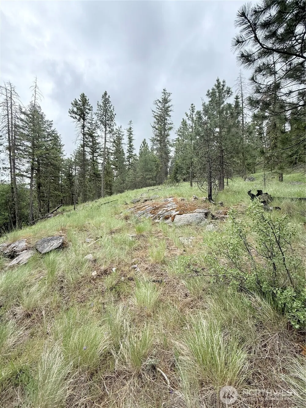 0 TBD Broken Spoke Road Tonasket, WA 98855