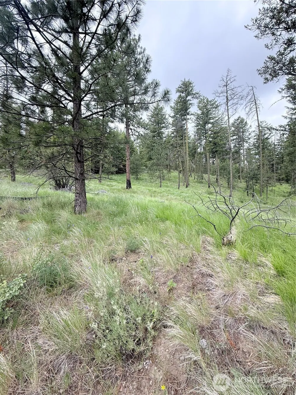 0 TBD Broken Spoke Road Tonasket, WA 98855