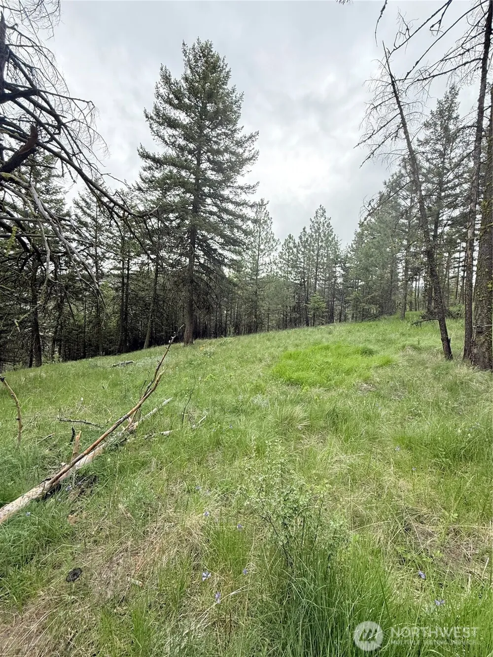 0 TBD Broken Spoke Road Tonasket, WA 98855