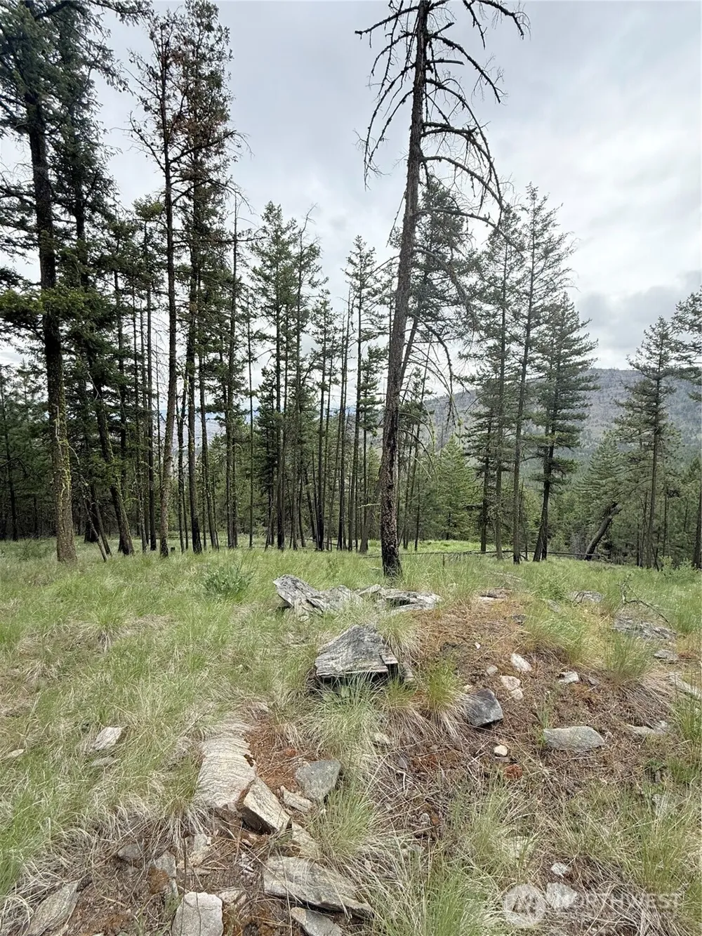 0 TBD Broken Spoke Road Tonasket, WA 98855