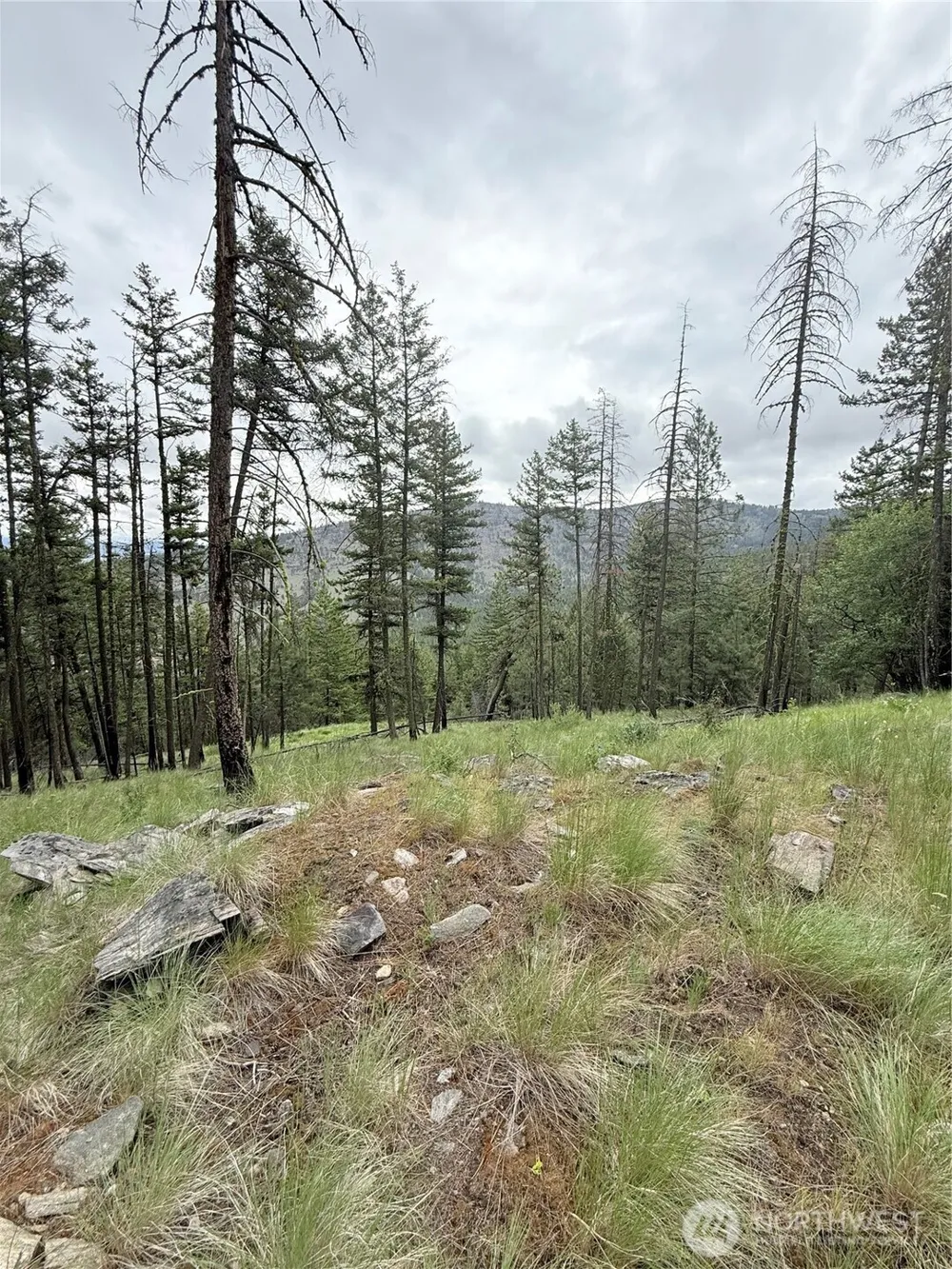 0 TBD Broken Spoke Road Tonasket, WA 98855