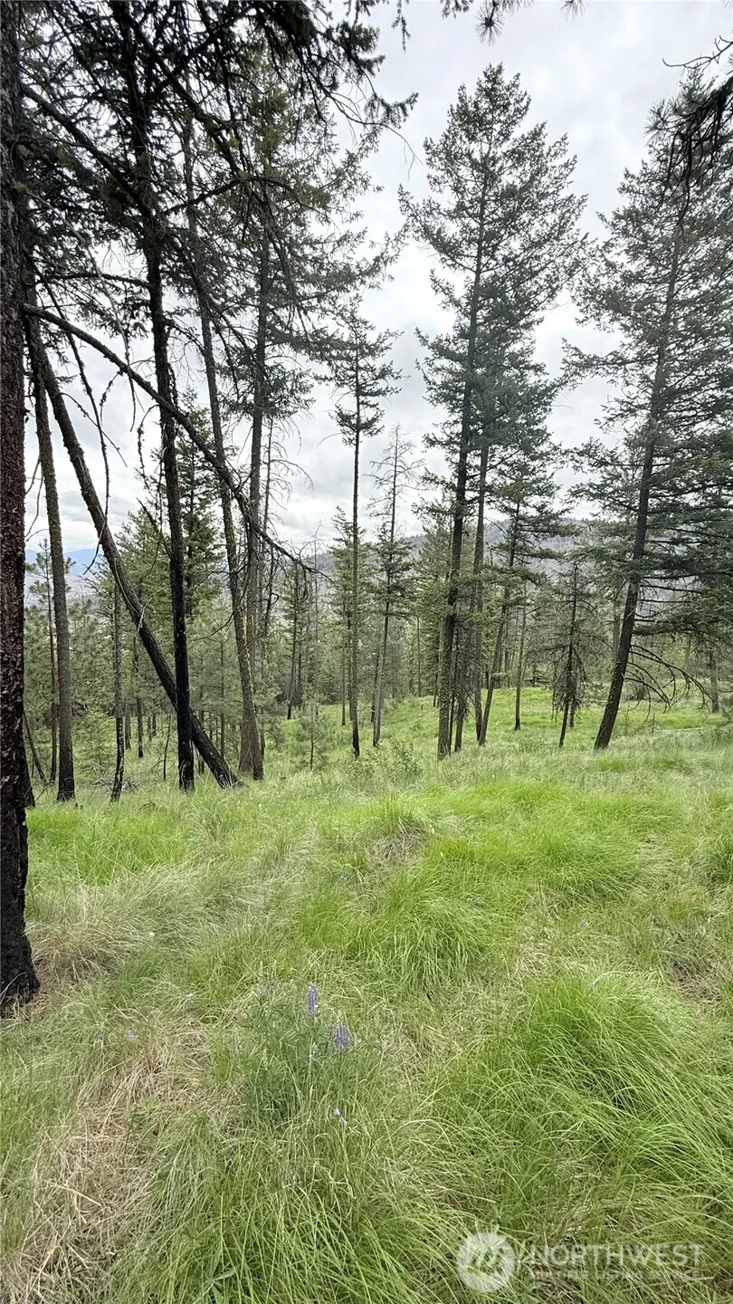 0 TBD Broken Spoke Road Tonasket, WA 98855