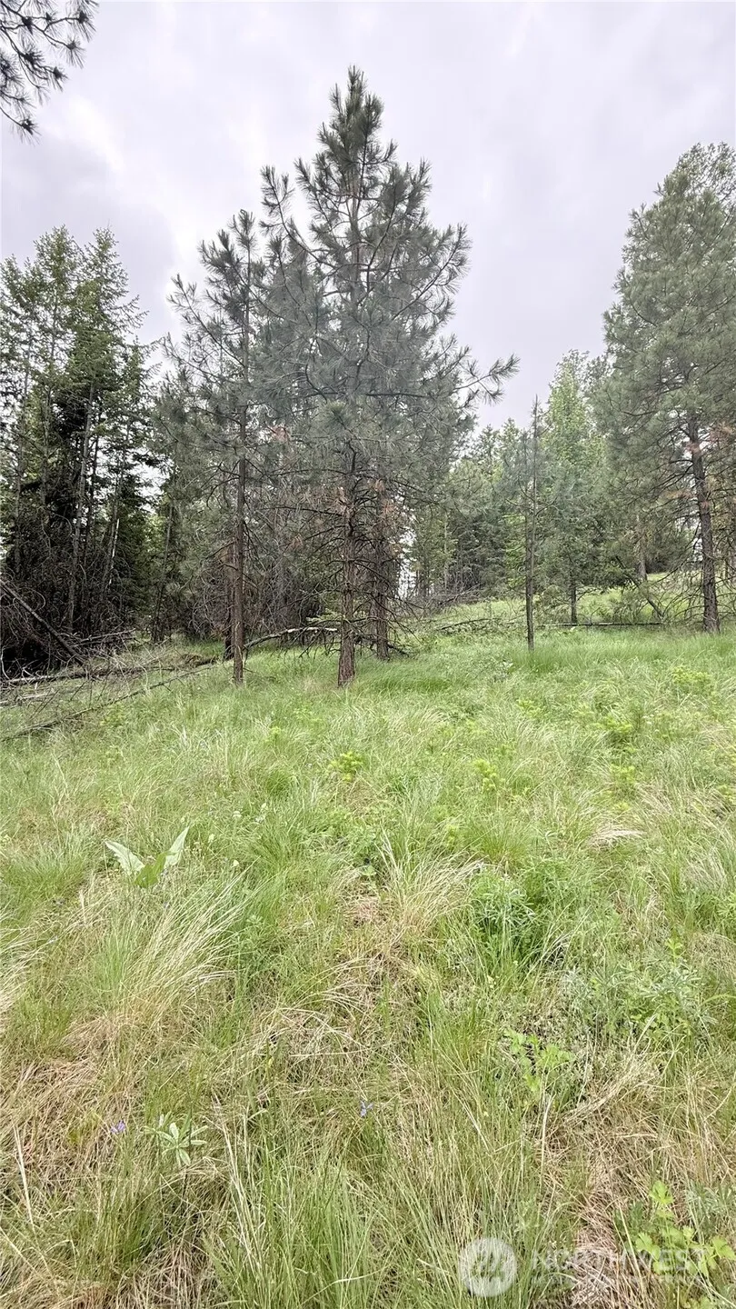 0 TBD Broken Spoke Road Tonasket, WA 98855