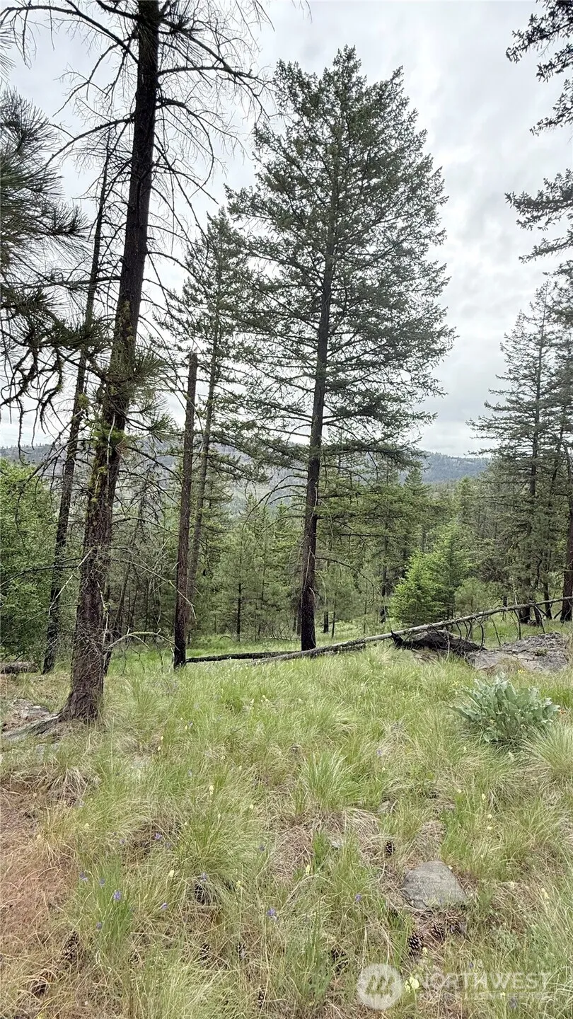 0 TBD Broken Spoke Road Tonasket, WA 98855