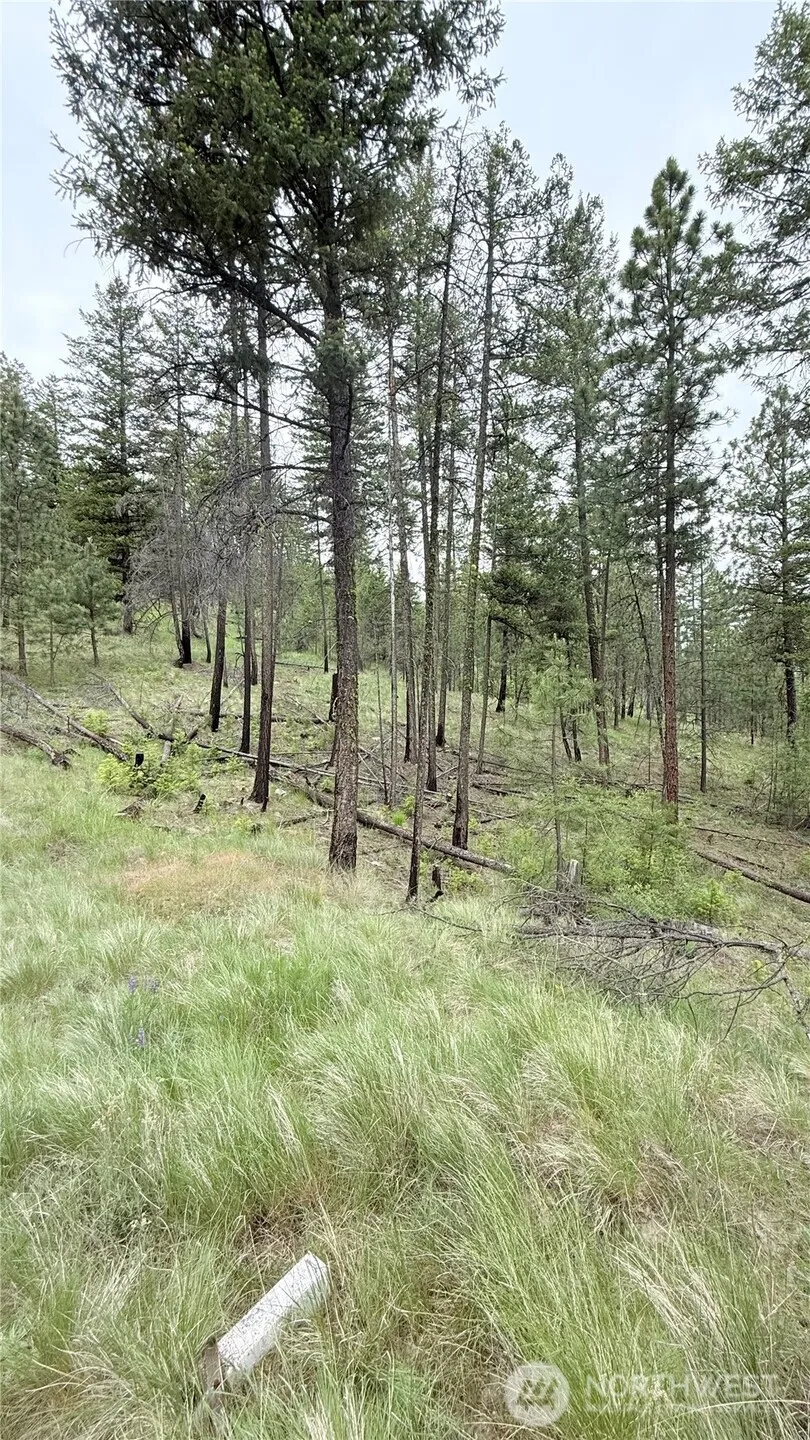 0 TBD Broken Spoke Road Tonasket, WA 98855