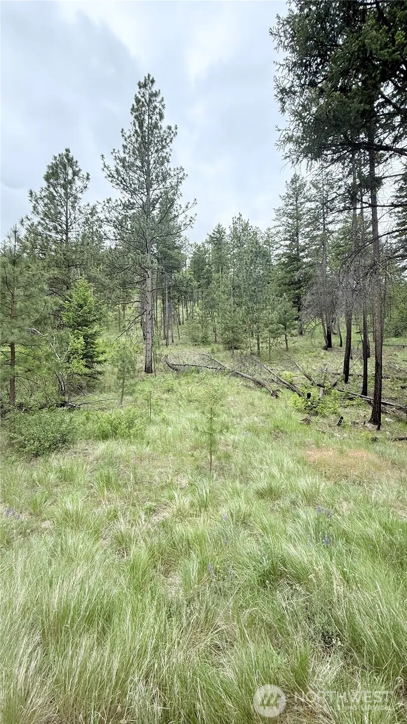 0 TBD Broken Spoke Road Tonasket, WA 98855