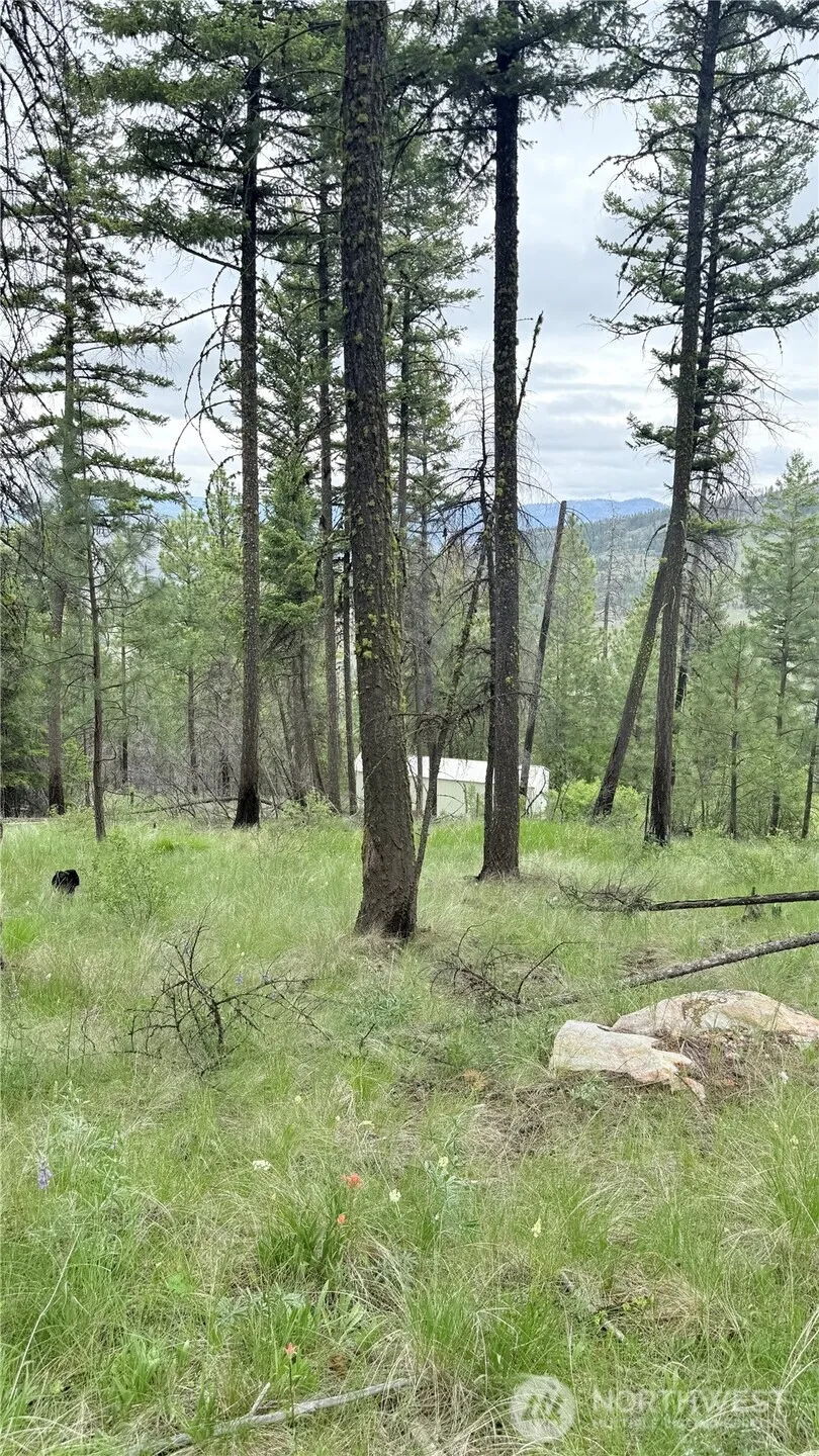 0 TBD Broken Spoke Road Tonasket, WA 98855