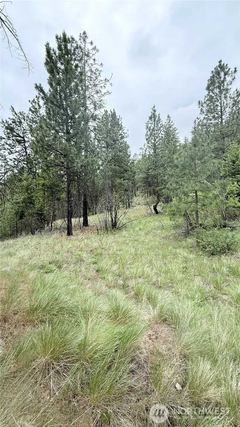0 TBD Broken Spoke Road Tonasket, WA 98855