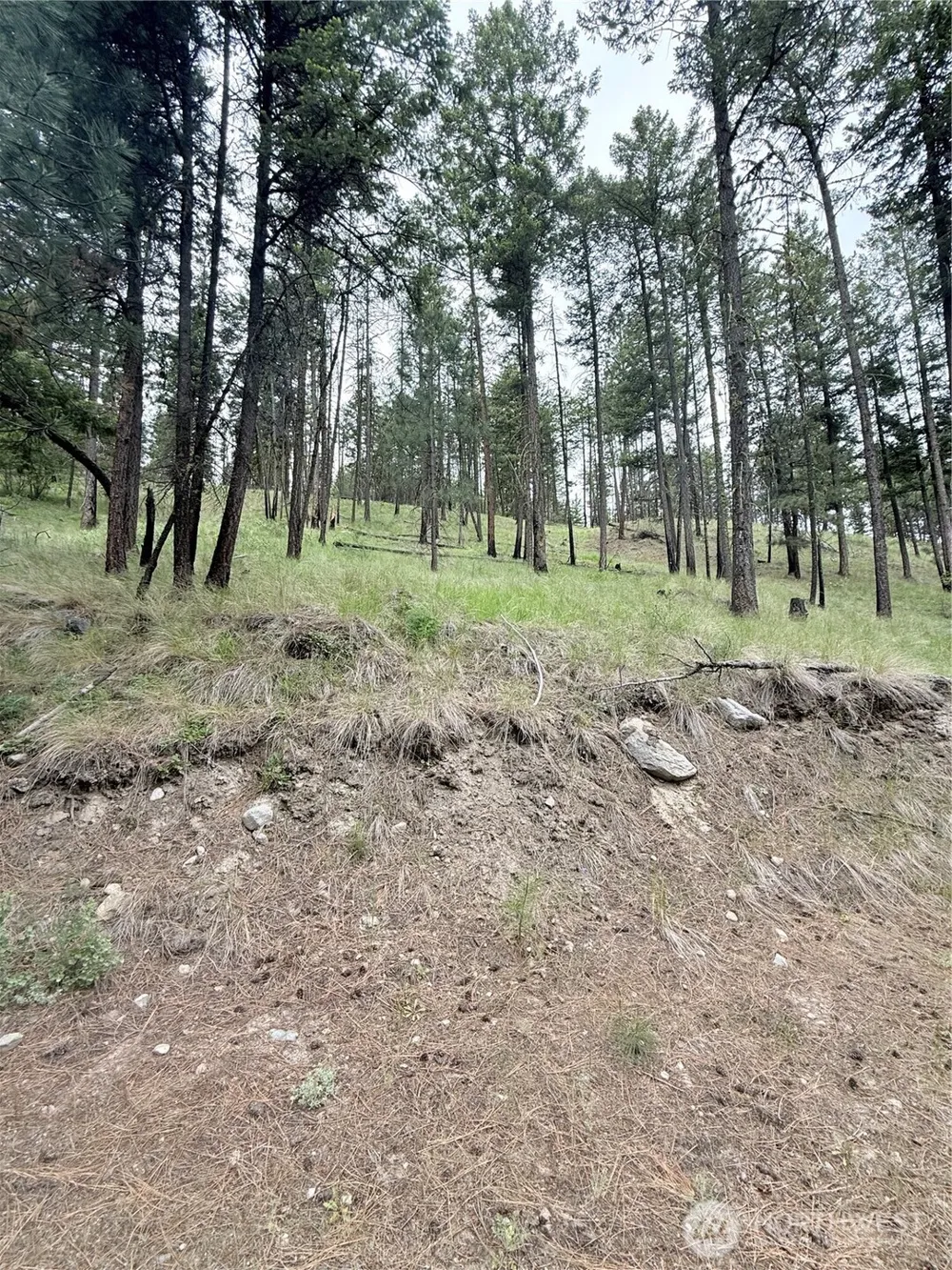 0 TBD Broken Spoke Road Tonasket, WA 98855