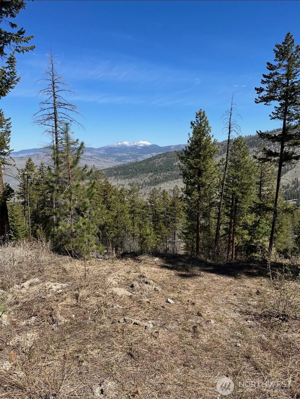 0 TBD Broken Spoke Road Tonasket, WA 98855
