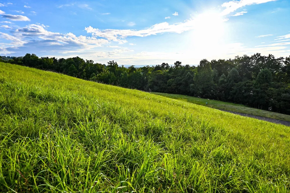 47 Mill Drive Decatur, TN 37322