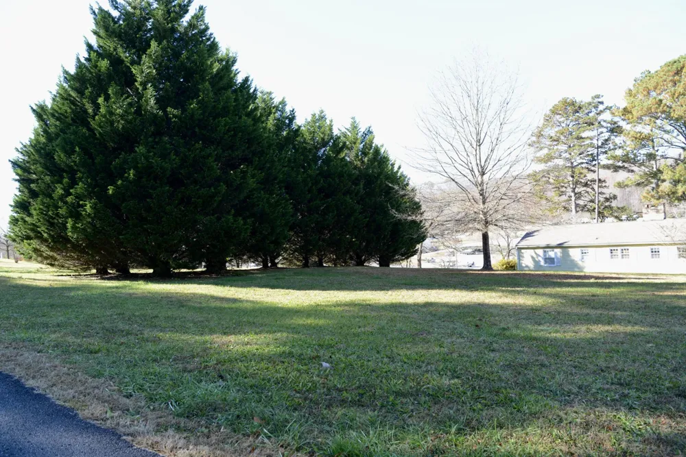177 S Pine Street Dayton, TN 37321
