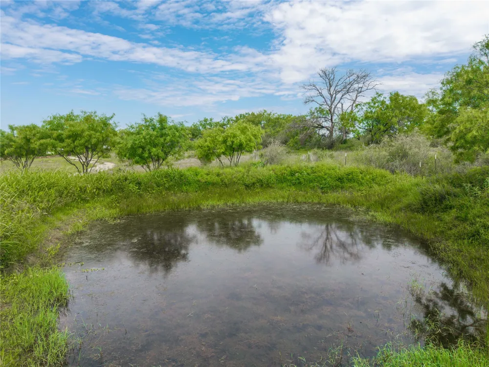 342 County Road 433 Mullin, TX 76864