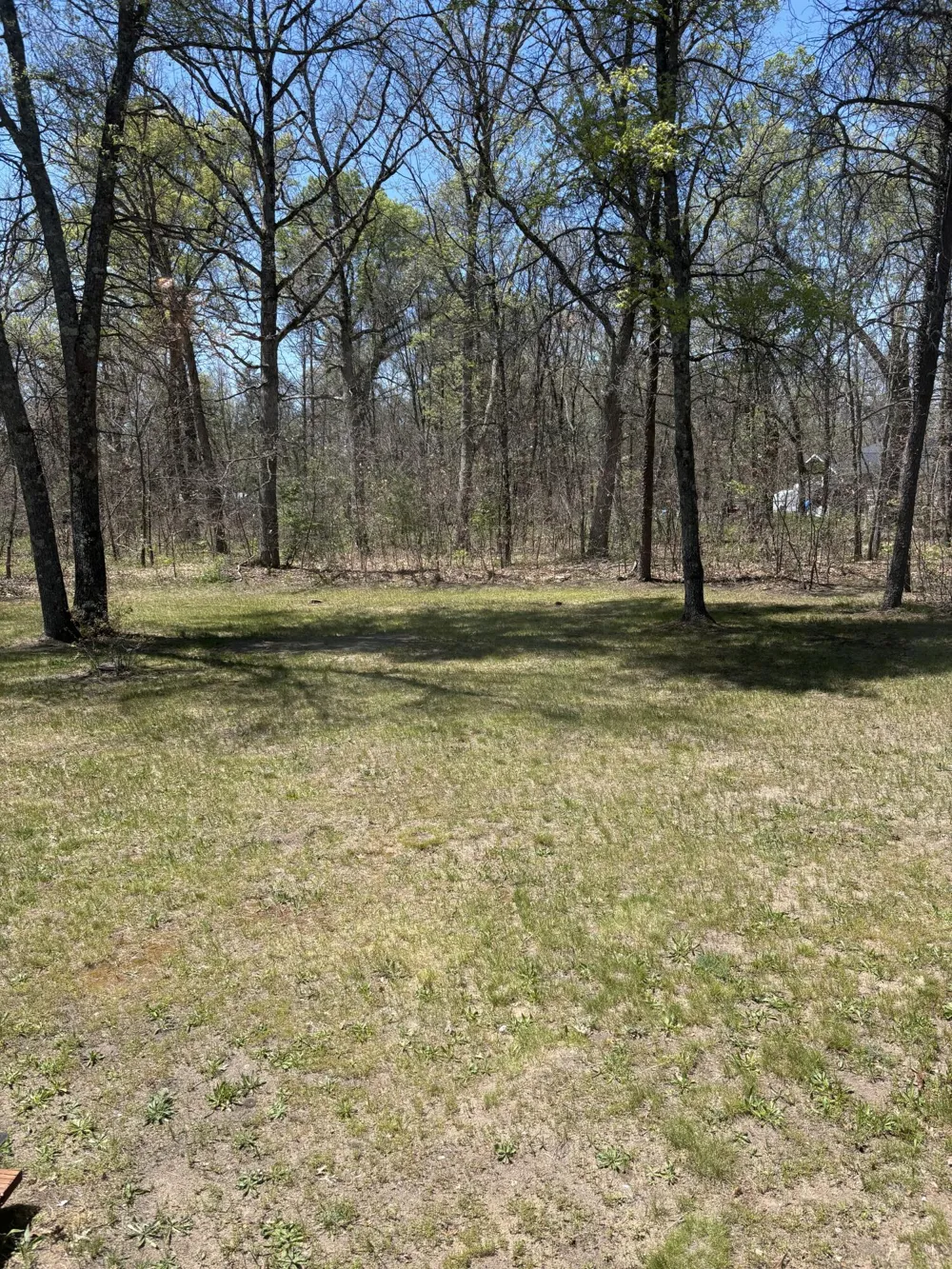 3299 S Yale Avenue Webber Township, MI 49304
