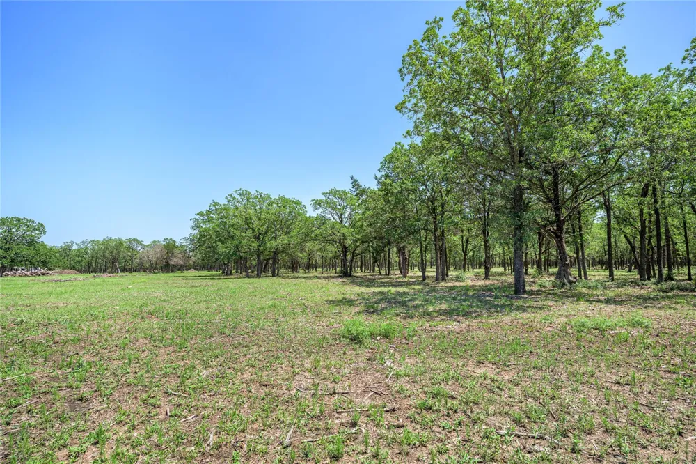 4638 Red Hollow Lane Smithville, TX 78957