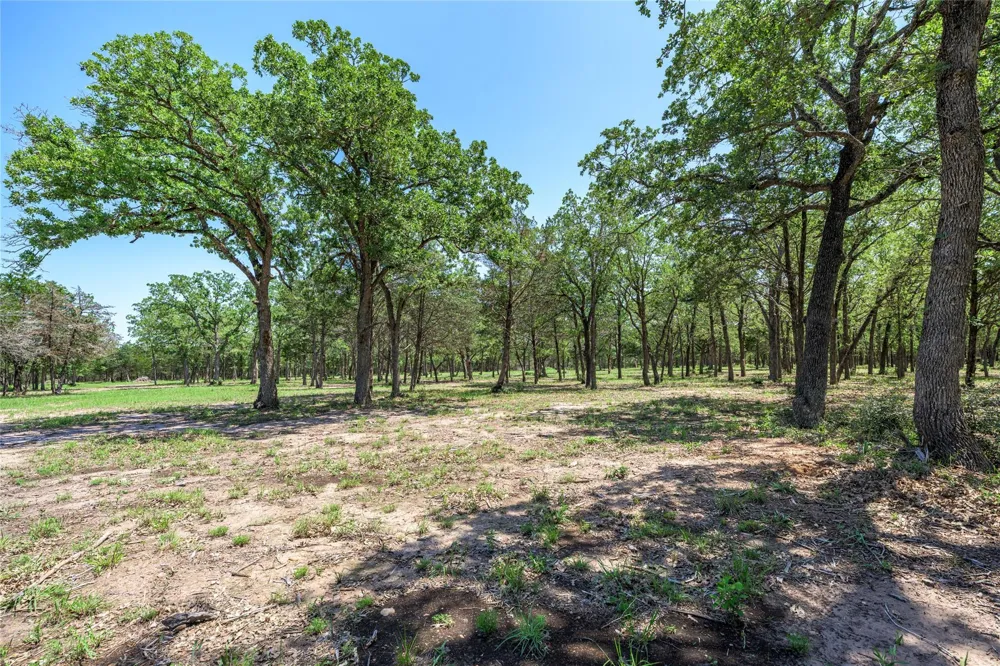 4638 Red Hollow Lane Smithville, TX 78957