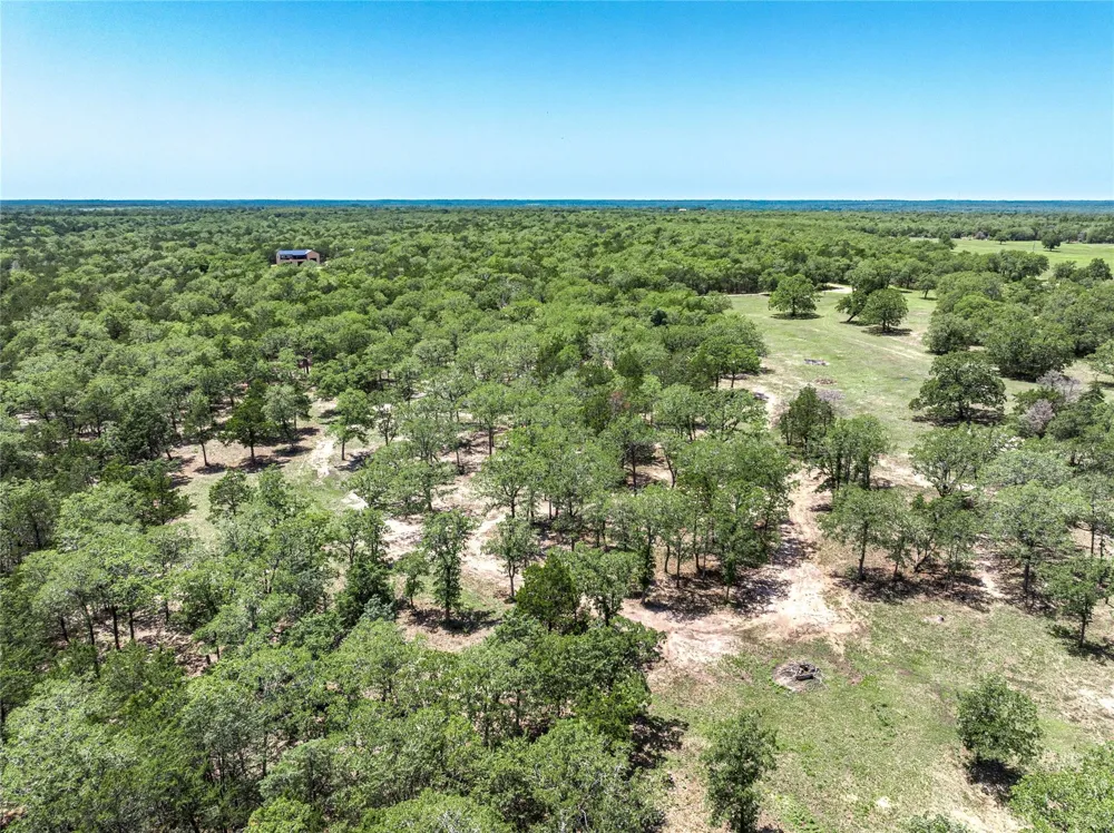 4638 Red Hollow Lane Smithville, TX 78957