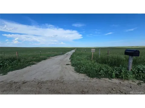29130 County Road 153