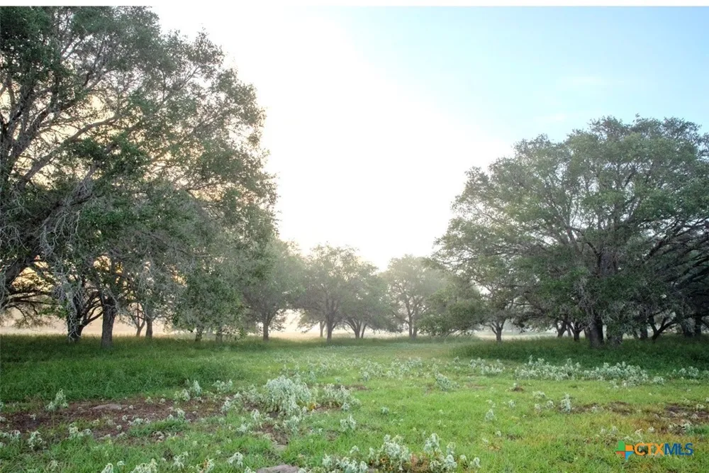3240 Concrete Edgar Rd Cuero, TX 77954