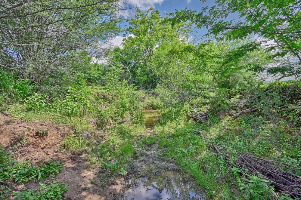 8566 Equestrian Lane Washington, TX 77880