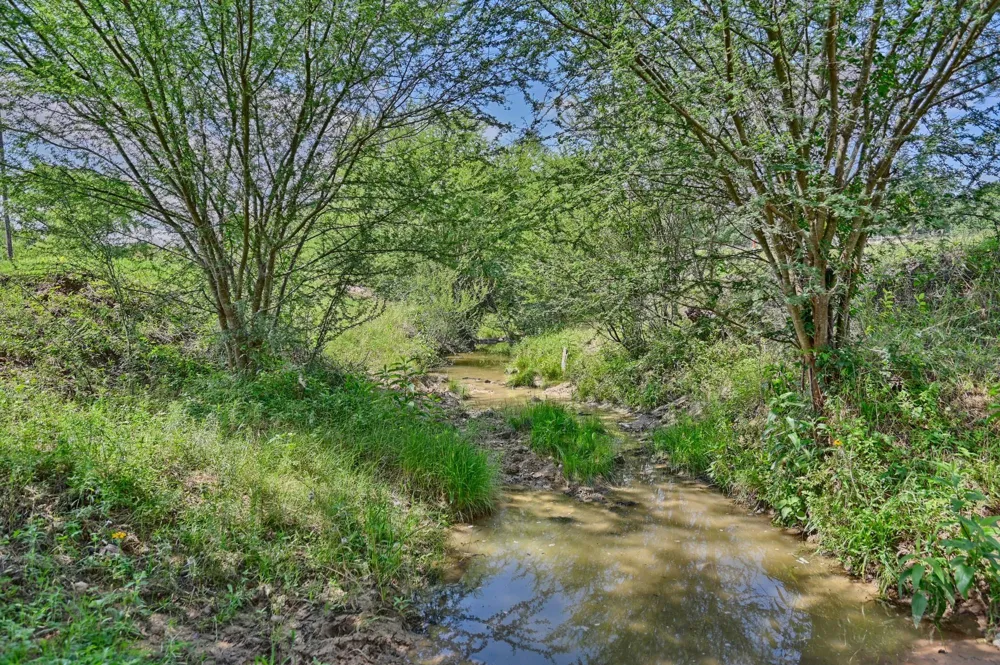 8566 Equestrian Lane Washington, TX 77880
