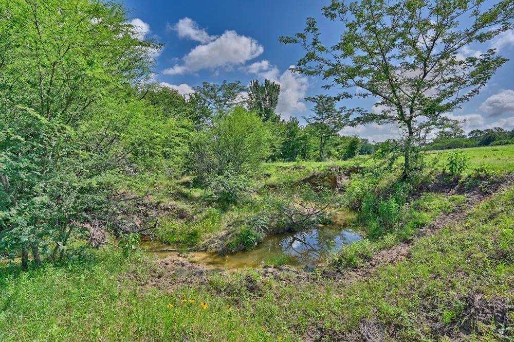 8566 Equestrian Lane Washington, TX 77880