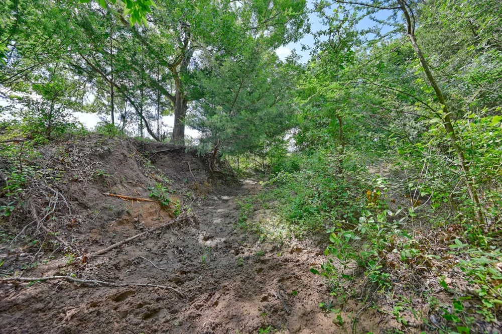 8566 Equestrian Lane Washington, TX 77880