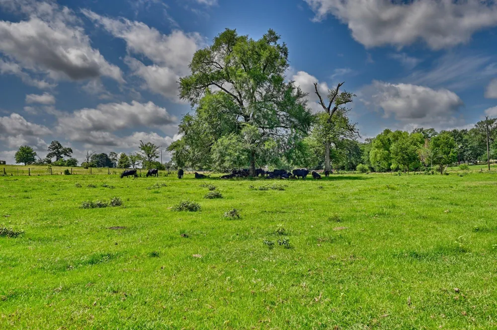 8566 Equestrian Lane Washington, TX 77880