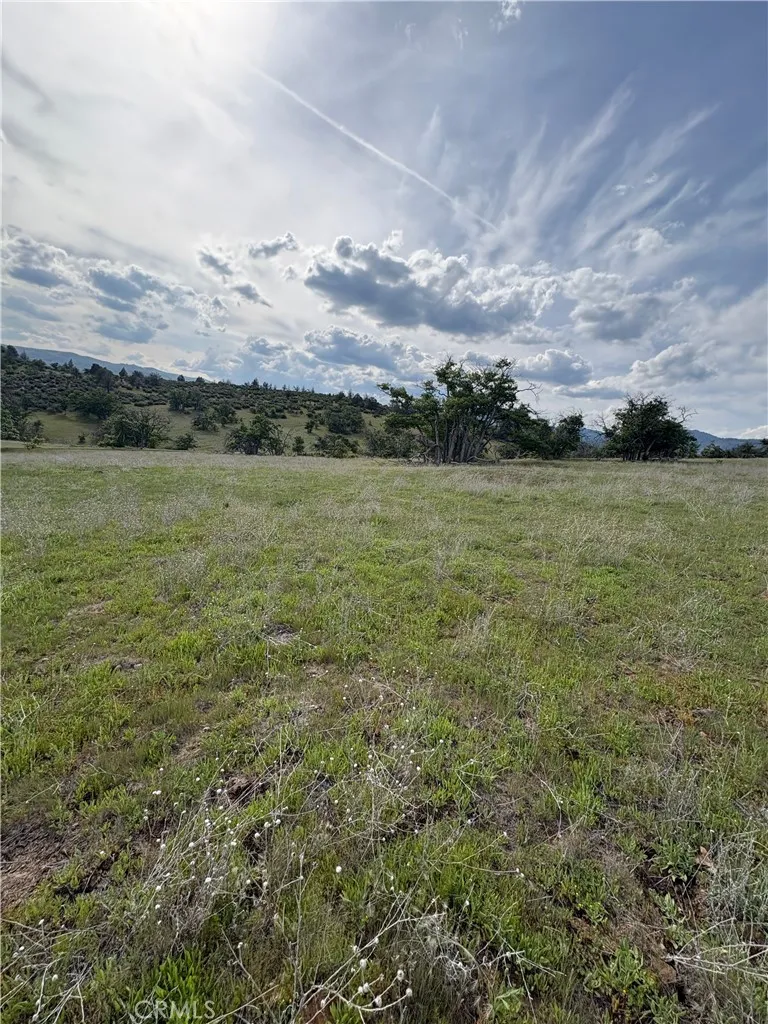 Yellow Dog Trail Hornbrook, CA 96044