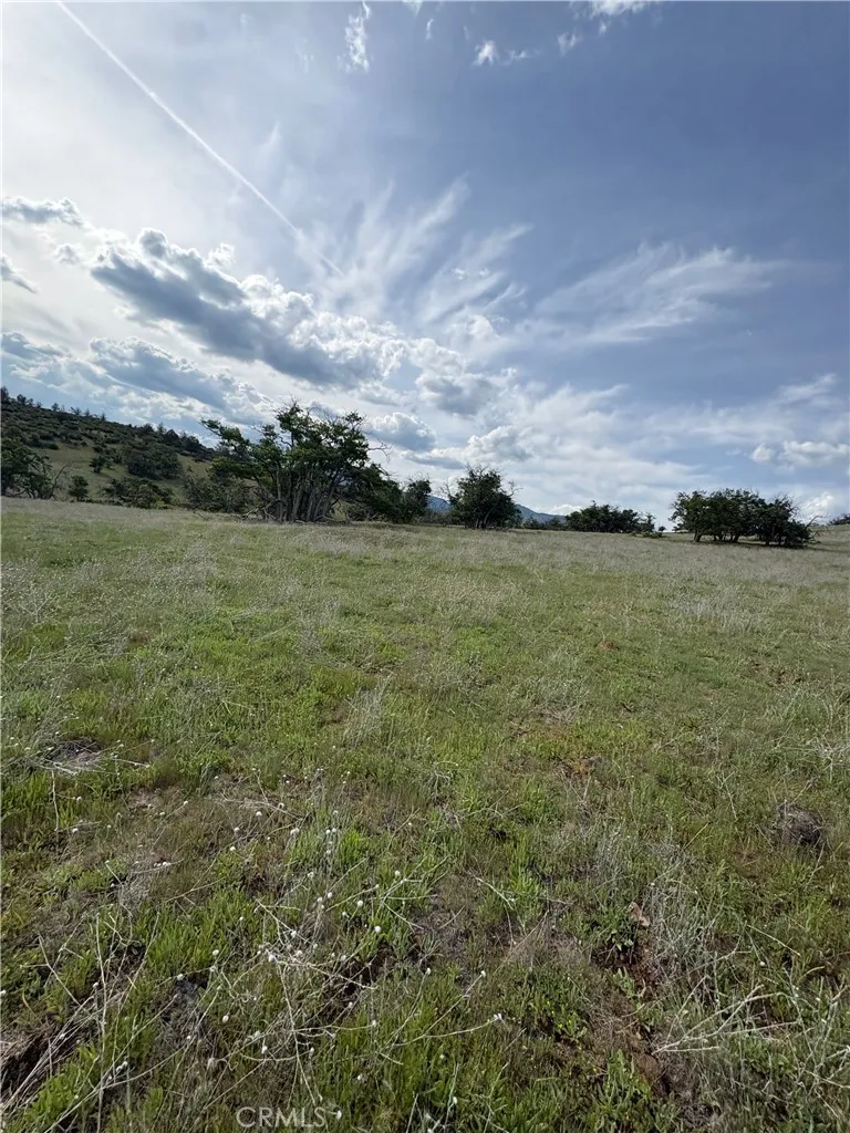 Yellow Dog Trail Hornbrook, CA 96044