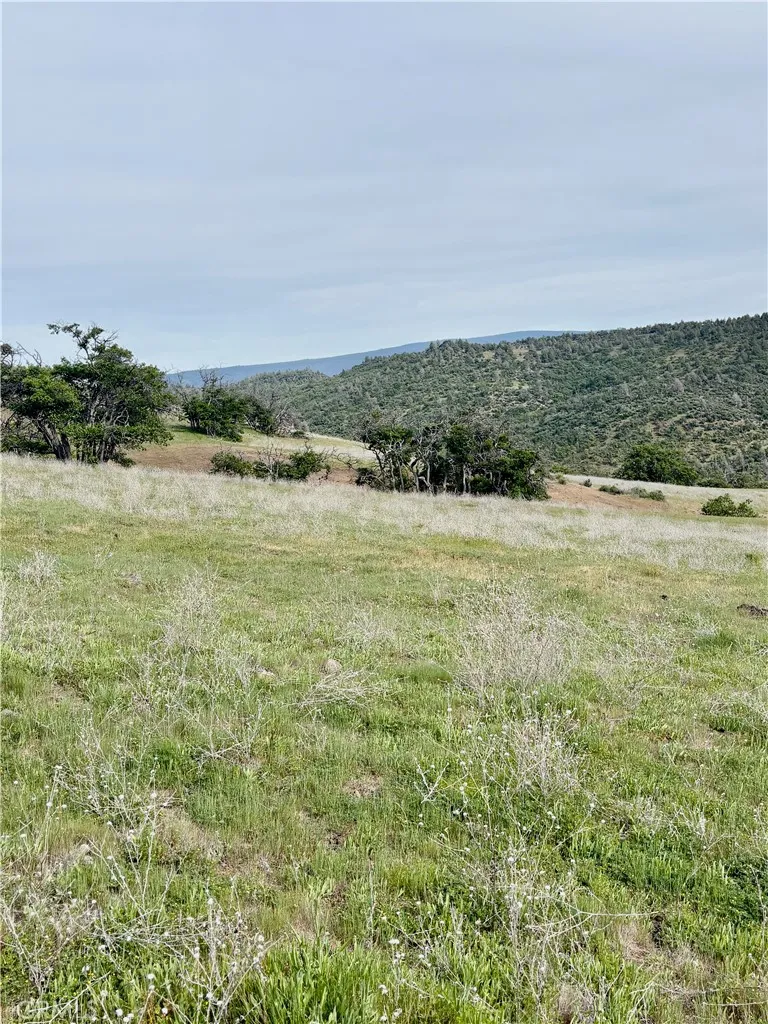 Yellow Dog Trail Hornbrook, CA 96044