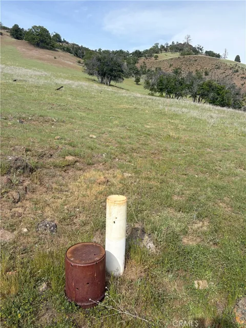 Yellow Dog Trail