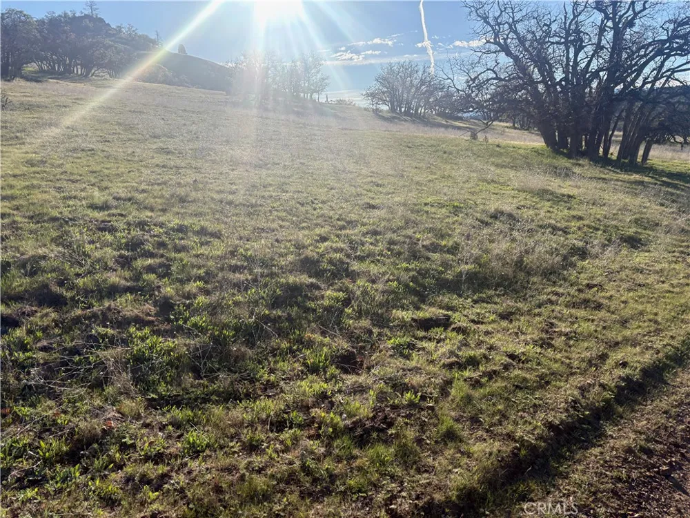 Yellow Dog Trail Hornbrook, CA 96044