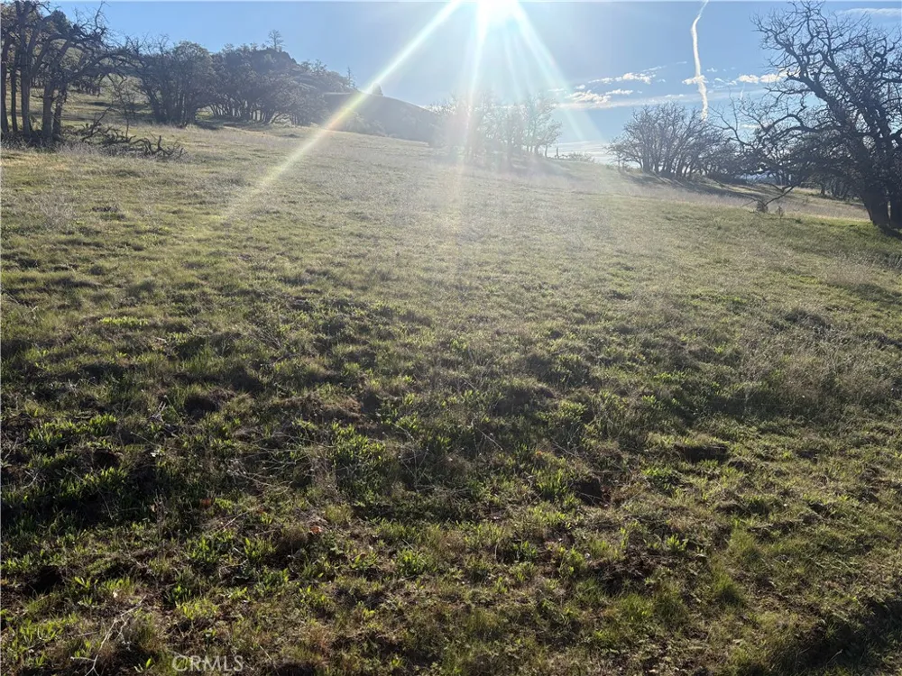 Yellow Dog Trail Hornbrook, CA 96044
