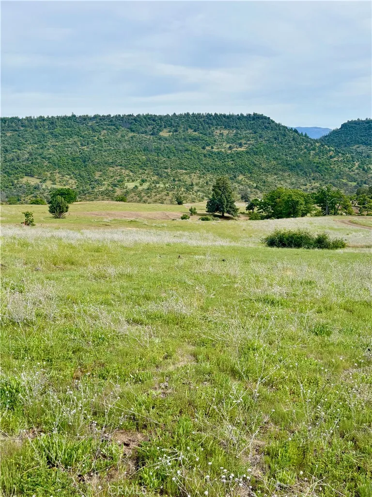 Yellow Dog Trail Hornbrook, CA 96044