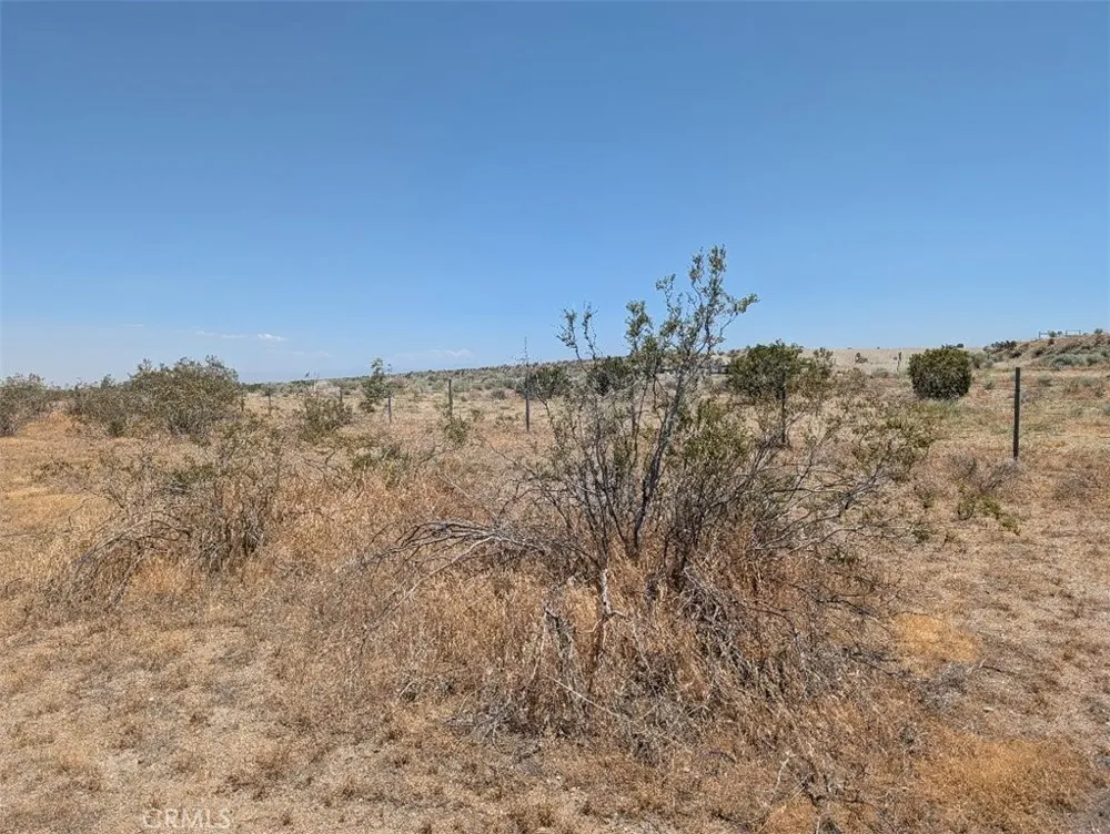27 248th Llano, CA 93544