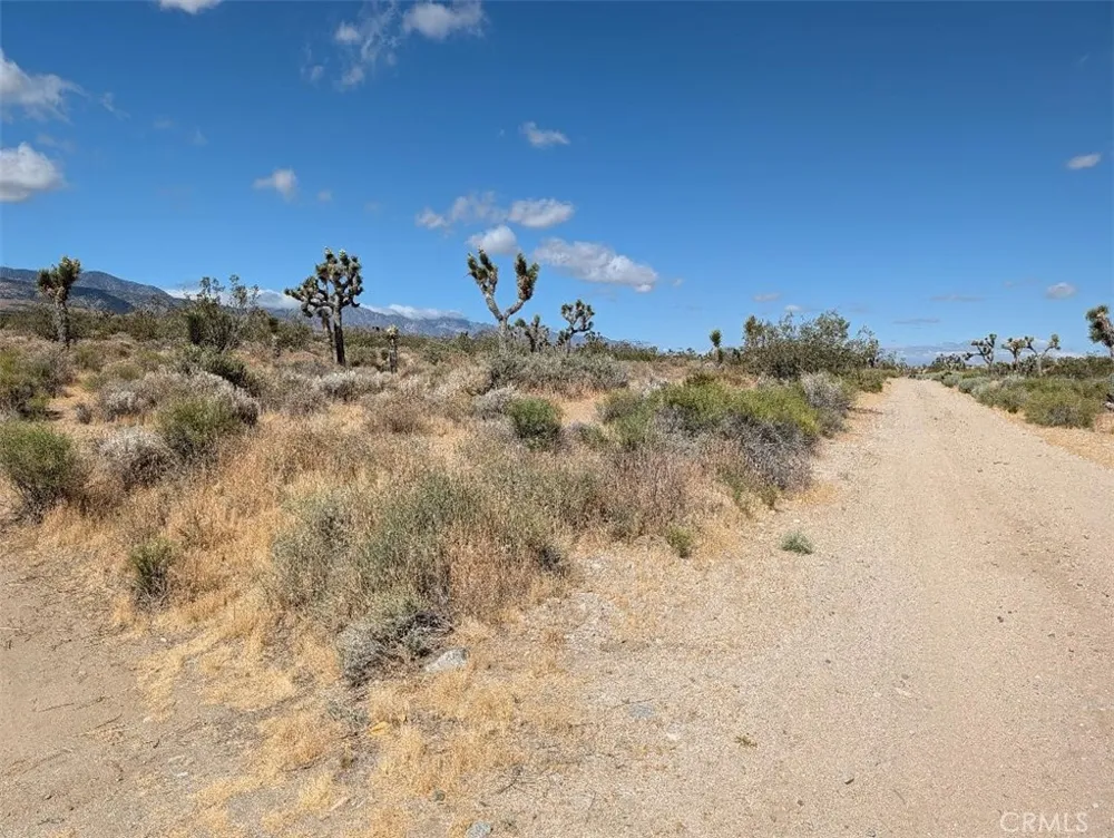27 248th Llano, CA 93544