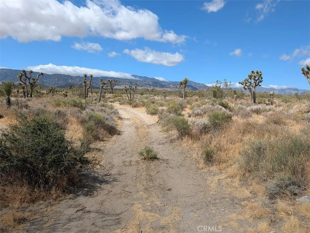 27 248th Llano, CA 93544