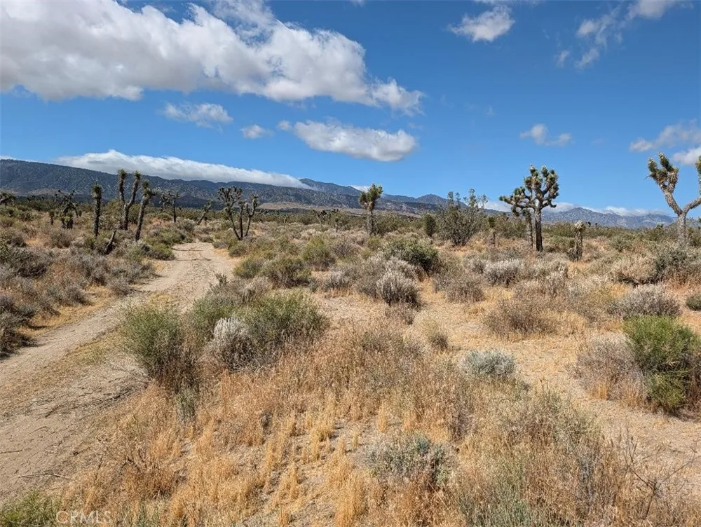 27 248th Llano, CA 93544