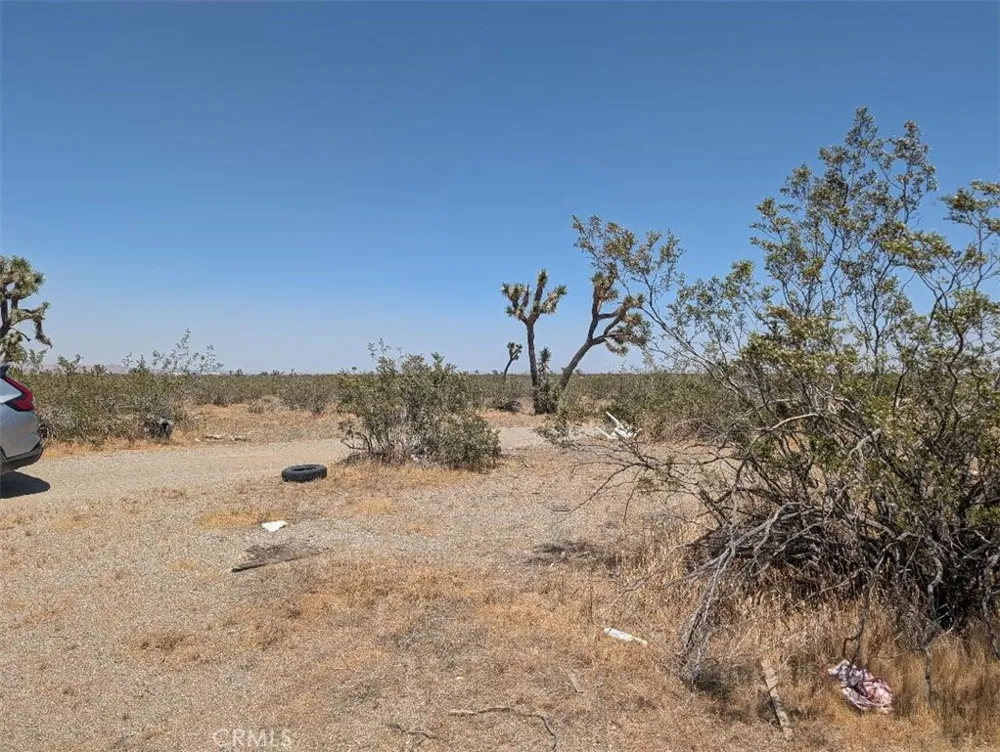 33 Antelope Llano, CA 93544