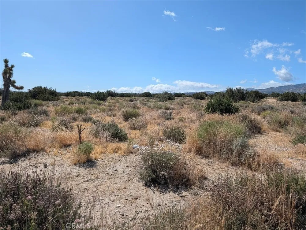 33 Antelope Llano, CA 93544
