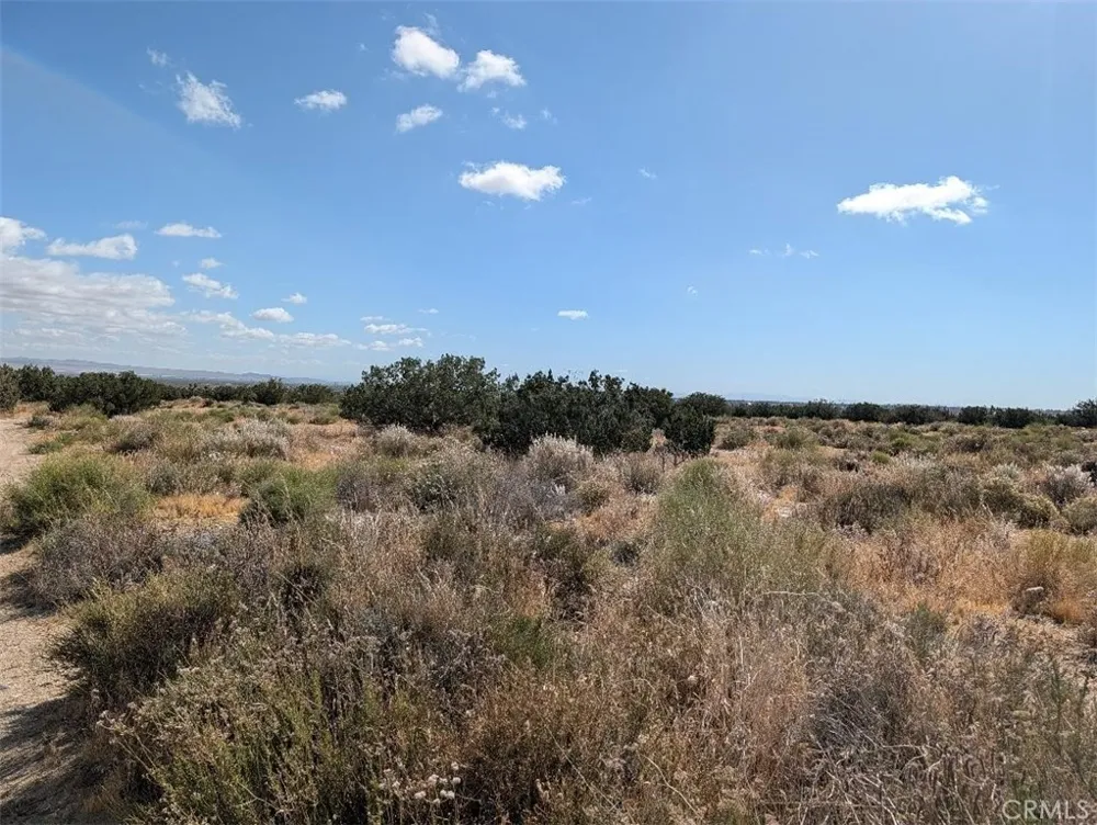 33 Antelope Llano, CA 93544