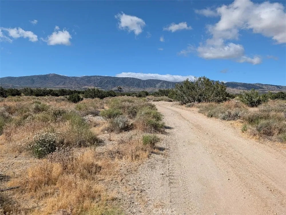 33 Antelope Llano, CA 93544