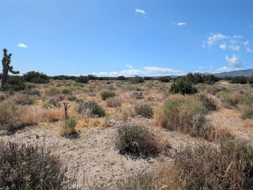 33 Antelope Llano, CA 93544