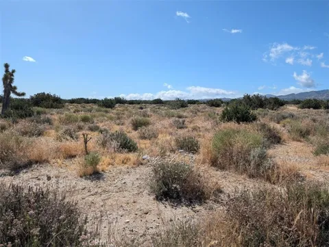 33 Antelope