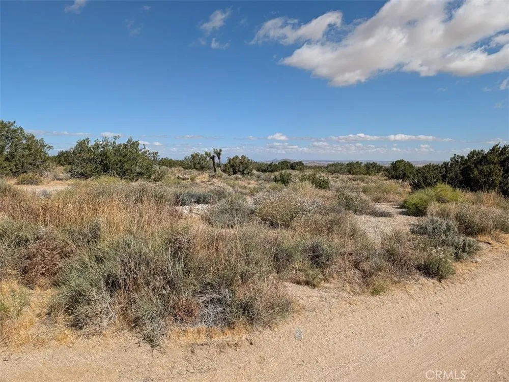 33 Antelope Llano, CA 93544