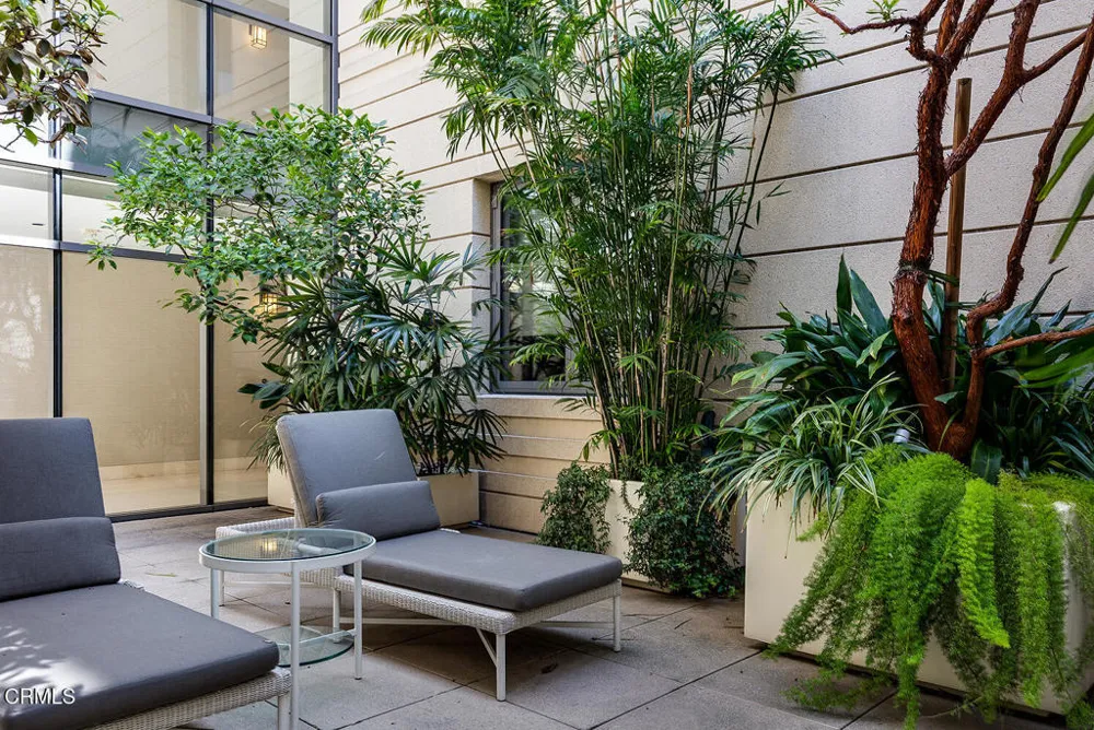 345 E Colorado Boulevard #203 Pasadena, CA 91101