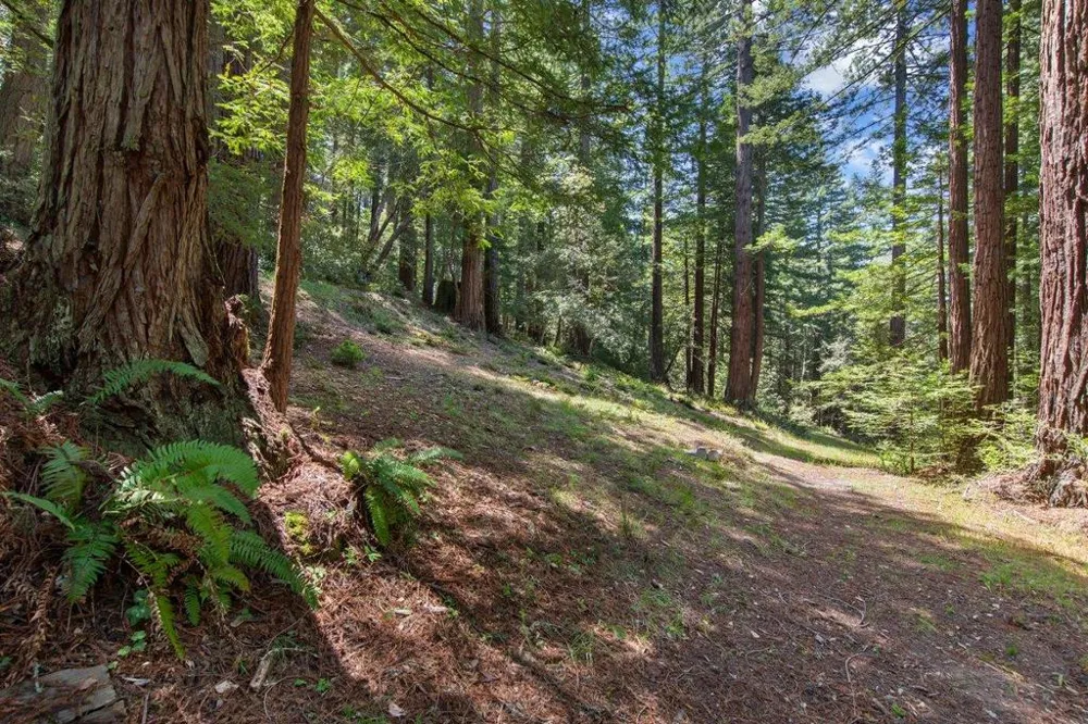 Native Sons Road Woodside, CA 94062