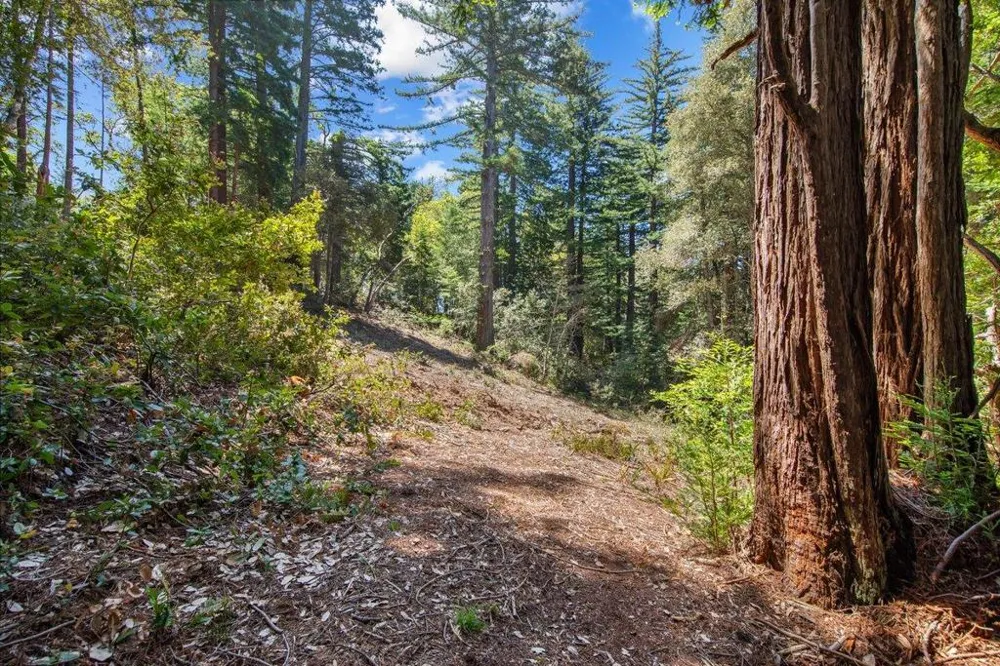 Native Sons Road Woodside, CA 94062